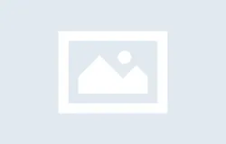 당신은 어떤 스타일의
냥냥인가요?